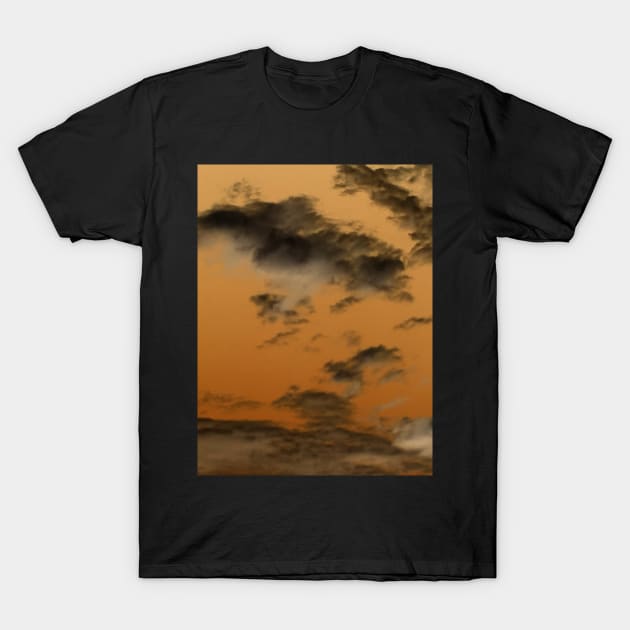 Orange and Black Cloud Print T-Shirt by Ric1926